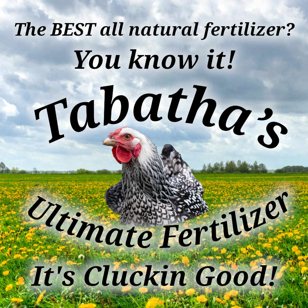 Image of Advertisement